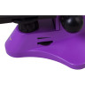 Микроскоп LEVENHUK Rainbow 50L Amethyst\Аметист 69047